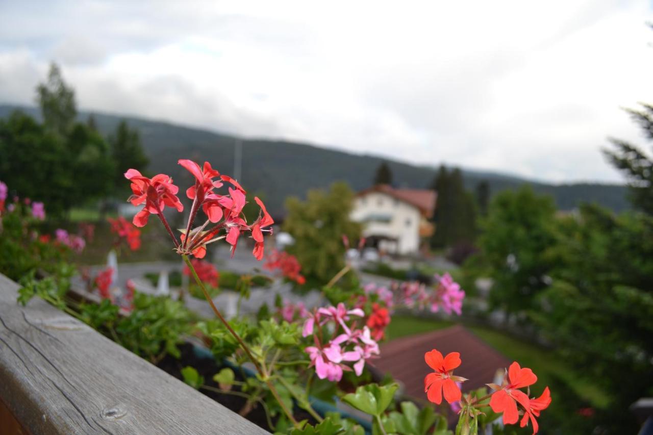 Zum Grünen Baum Hotel 2*