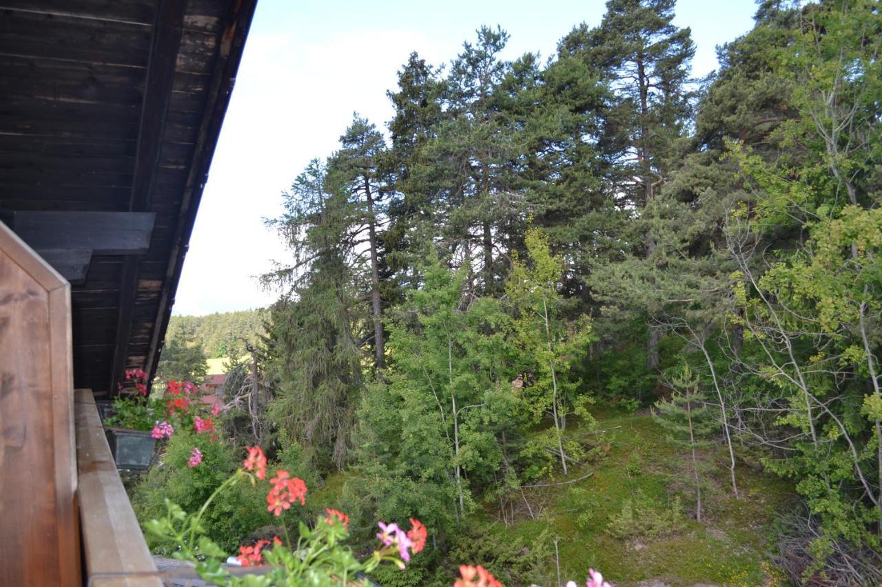 Zum Gruenen Baum Hotel Verano